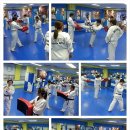 한체대국가대표태권도장 이미지