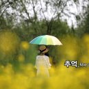 세미기획