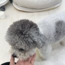 필라테스인더가든 | 문정동 필라테스 추천 필라테스인더가든 후기