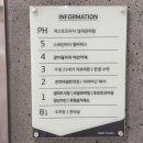 잘어울리개 이미지