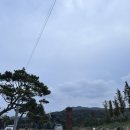 더리버에스풀빌라 리얼후기_C03호(내돈내산 숙소 추천)
