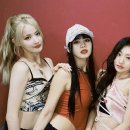 팀 스윙스톤 이미지