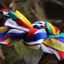 은혜화원 이미지