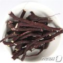 지초도 뉴스1