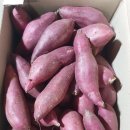 과일사랑 - 파주시 월롱산로 38 | 과일사랑