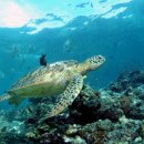 불로초등학교 이미지