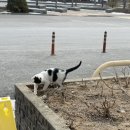 리버스토리1210 이미지