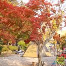 산외초 장갑분교 이미지