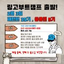 2월 3일 패턴 35기, 응용편 5기 시작합니다. 꼭 트라이얼 경험해보시길 바랍니다. 이미지