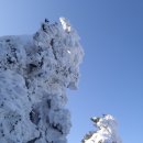덕산운수 Daum카페