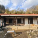 소망애견 이미지