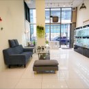 퍼피하우스 인천송도점 이미지