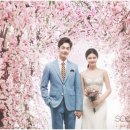 수에비뉴스튜디오