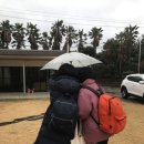 올레민박 이미지