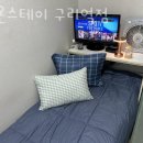 스테이다온 이미지
