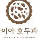 가이아호두파이