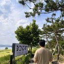 데저트크림2 | [카페 데저트] 팔당 남양주 한강뷰가 멋진 베이커리 카페 방문 후기 (한강 산책 바로 가능)