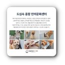 꼬리흔들 유치원 이미지