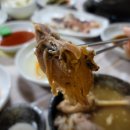 한방오리사랑 이미지