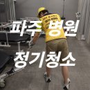 돌핀크린 이미지