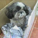 그린24시 편의점 이미지