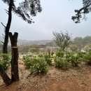 서창캠핑장 이미지