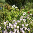 가야농장 이미지