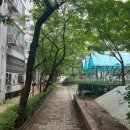 코사마트(동네점) | 데이트 대신 '부동산 임장' 선택한 신혼부부, 광명 내집마련까지