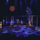 다시 봄 이미지