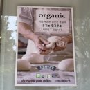 벽적공원 | 수원 영통 소금빵 찐맛집 작은 통창뷰가 매력적인 아담한 카페 리한