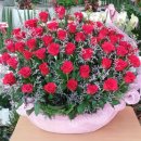 백송이꽃화원 이미지