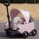 코아애견 이미지