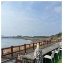 오션스케치 이미지