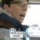 J애견미용 이미지