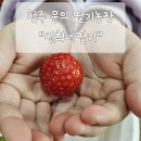 진희농장 이미지