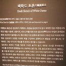 서화중학교 | 국립고궁박물관 특별전 『창덕궁의 근사한 벽화』 관람후기 – 조선 왕실의 예술과 건축의 조화를 담은...