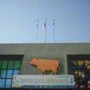 개군면사무소 이미지