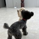 눈보뛰 프리미엄 이미지