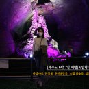 씨유 청주용암우진점 | [2020년 10월 제주도 신혼여행] 6일차 : 다정이네+만장굴+우진해장국+호텔 휘슬락+싱싱회센타