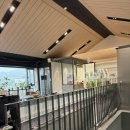 어반퍼피 이미지