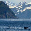 New Ocean Media