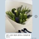 앙코르블룸