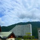 오일파크 | 정선 파크로쉬 프리미어 패밀리 스위트 가족여행 조식 수영장 후기