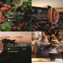 엔제리너스 이미지