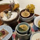 (봄맞이) 한입 요리 이미지