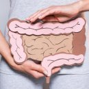 채식식단 웰빙요리 이미지