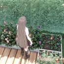 하곡 | 하곡주: 근친한다 잡지마라