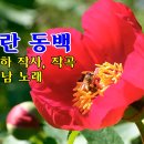 모란동백