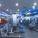 바디메이트 이미지