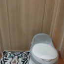 [맘스홀릭/이앤오]이앤오 바웰헤빗 멜로디베이비포티 아기변기추천